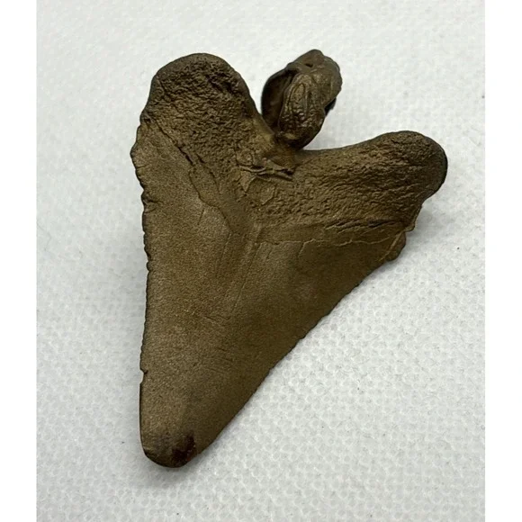 Vintage Bronze Coated Megalodon ? Tooth Pendant Genuine Tourmaline Accent Shark - Picture 5 of 9